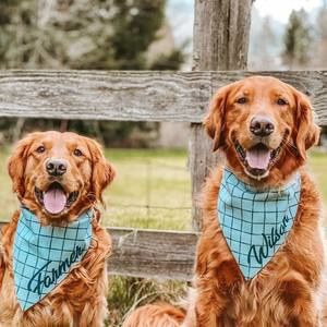 Meet your Posher, Devon